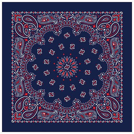 Load image into Gallery viewer, Bandanas - Vamoose Gear Apparel Blue / Red Paisley
