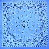 Load image into Gallery viewer, Bandanas - Vamoose Gear Apparel Chambray Lt Blue Paisley
