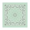 Load image into Gallery viewer, Bandanas - Vamoose Gear Apparel Mint Paisley
