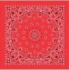 Load image into Gallery viewer, Bandanas - Vamoose Gear Apparel Red paisley
