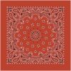 Load image into Gallery viewer, Bandanas - Vamoose Gear Apparel Terracotta Paisley
