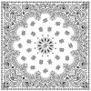 Bandanas - Vamoose Gear Apparel White w/ Black Paisley